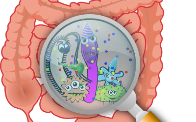 ¿Qué es la Microbiota y por qué es tan importante cuidar de ella?