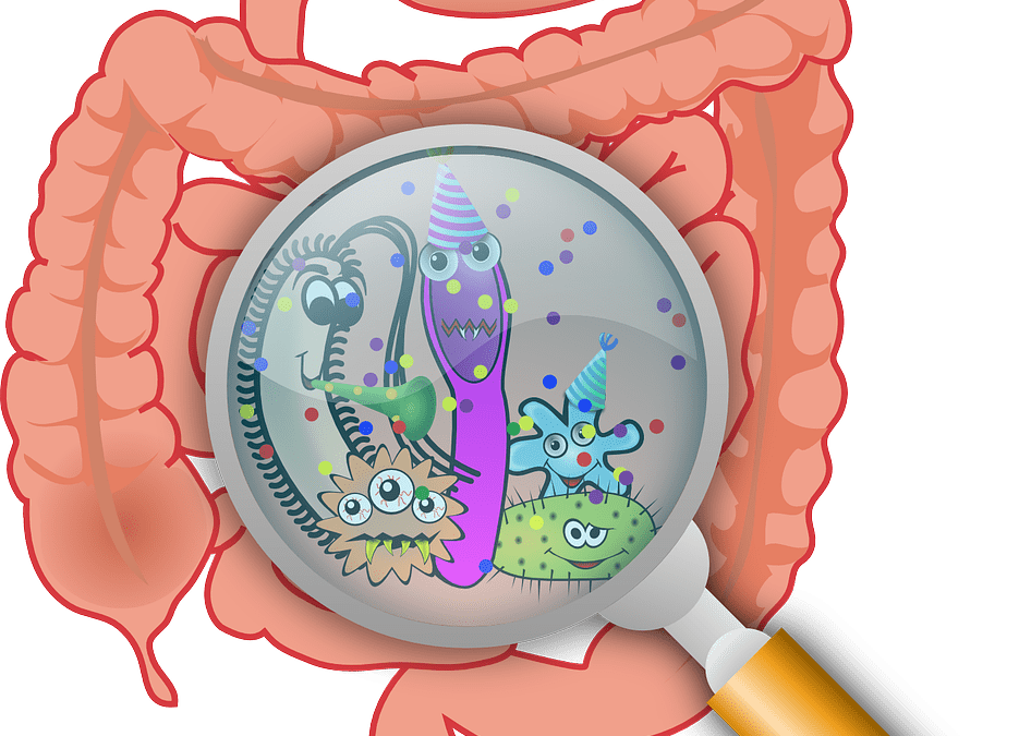 ¿Qué es la Microbiota y por qué es tan importante cuidar de ella?