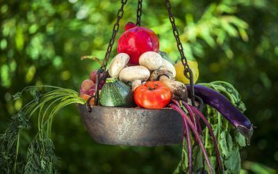 Frutas y verduras de temporada
