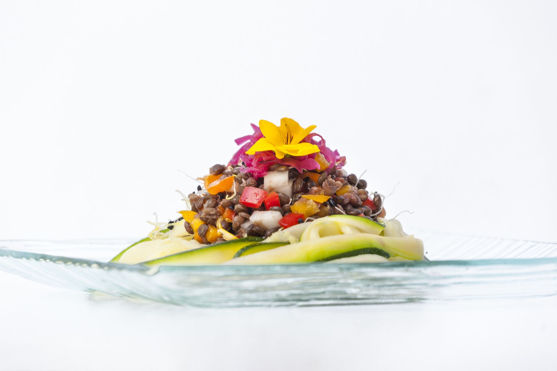 cocina microbiótica ensalada lentejas