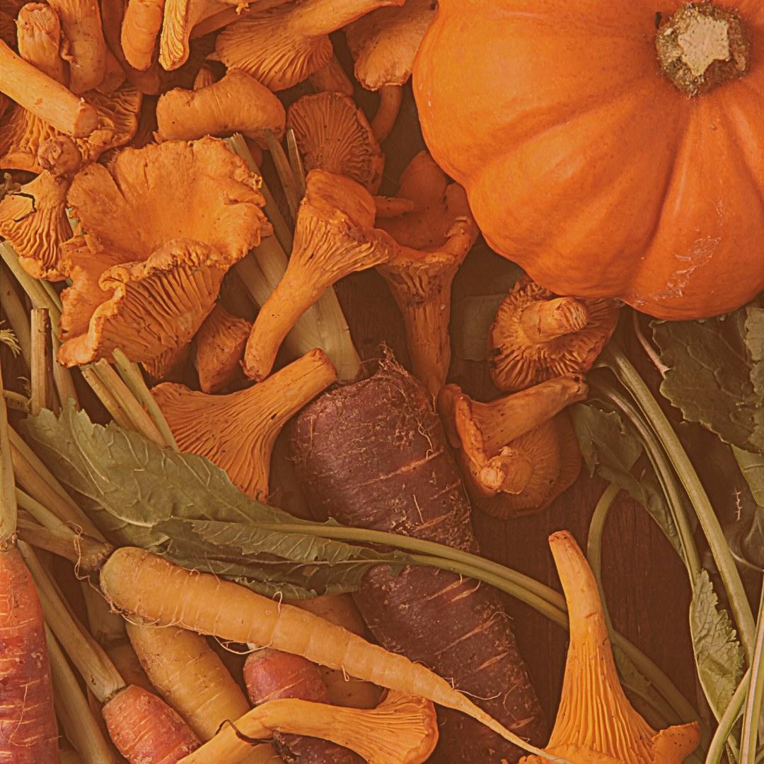 verduras otoño 2
