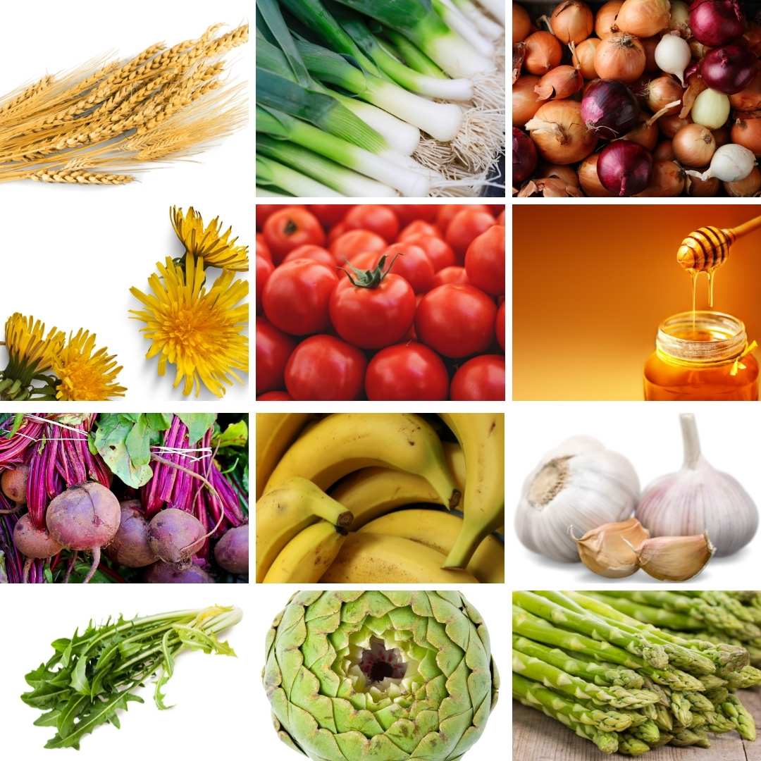 fructo oligosacáridos