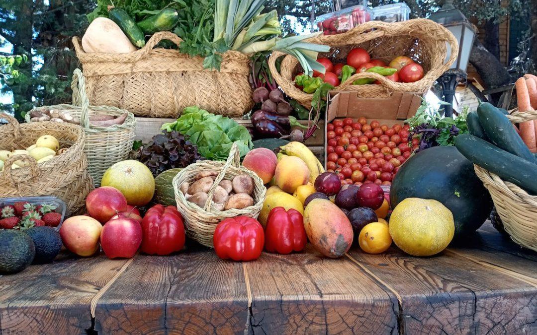 Prebióticos y alimentación prebiótica