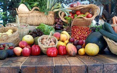 Prebióticos y alimentación prebiótica