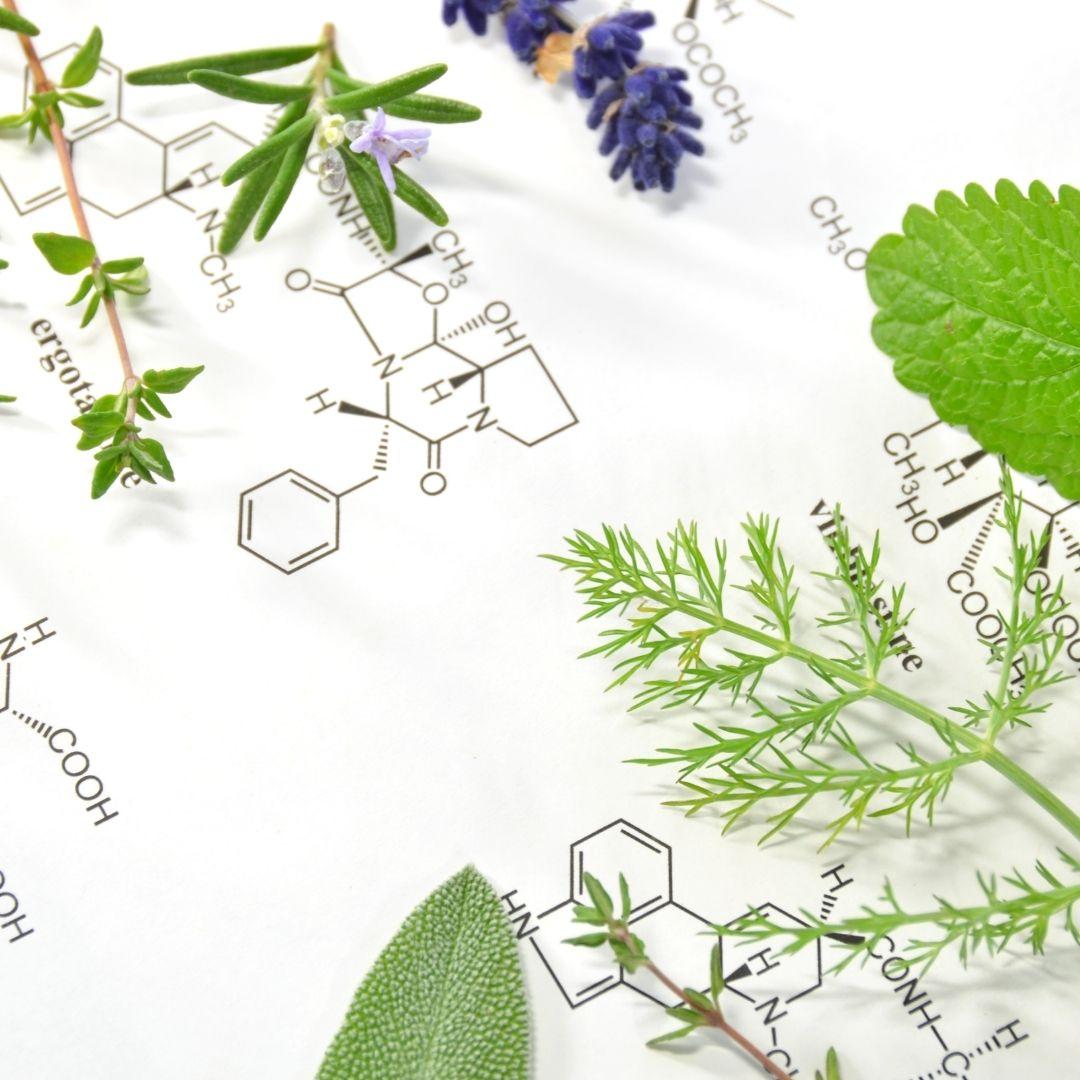 ciencia vegetal02