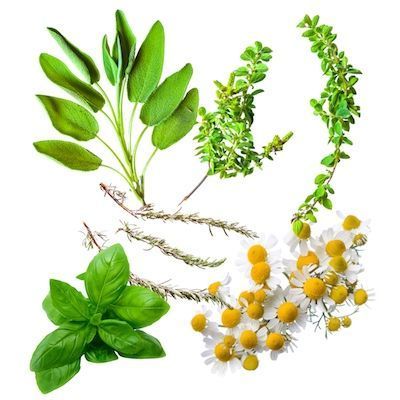 aromáticas