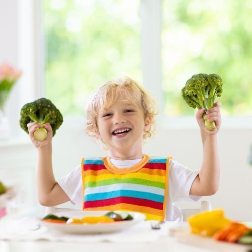 Cocina saludable Microbiótica
