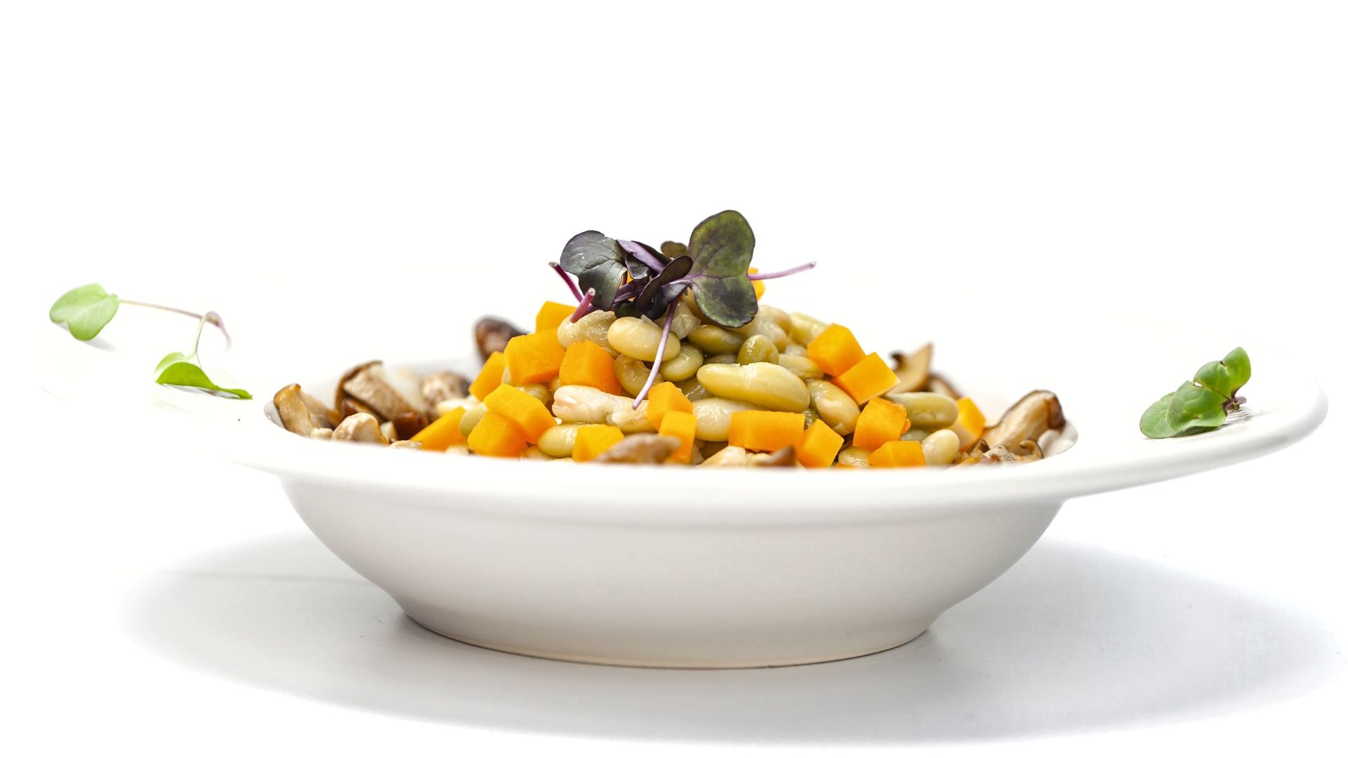 Cocina saludable | comida saludable